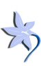 Bluebell - Whalenbergia gloriosa